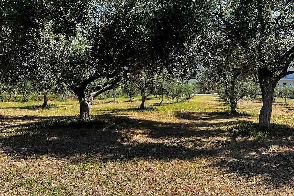 Vila Lufi Kamez 0*,  Albania